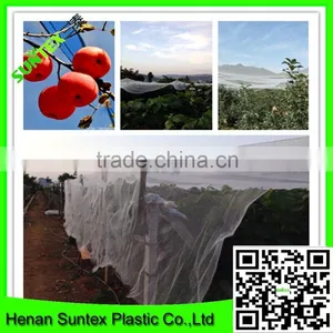 Supply Various Apple Tree Anti Hail Net/hail Protection Net/anti Brid Net thumbnail-4