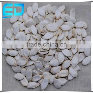 Dried Edible Snow White Pumpkin Seeds, White Pumpkin Seeds Price thumbnail-1