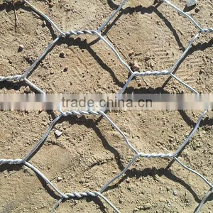 Green/ Black Pvc Coated Lowest Price Chicken Wire Mesh thumbnail-2