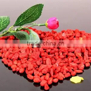 100% Natural Goji Berry Chinese Berry Goji Ningxia Wolfberry thumbnail-2