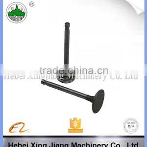 Changzhou Diesel Parts S195 Engine Valves thumbnail-2