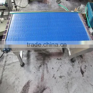 Pleastic Belting Conveyor System for Heavy Duty Loading thumbnail-1