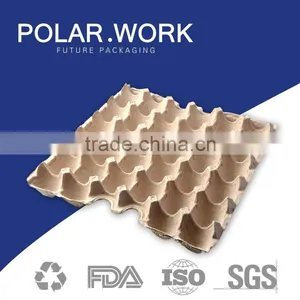 Hot Selling Paper Egg Tray Made in China thumbnail-1