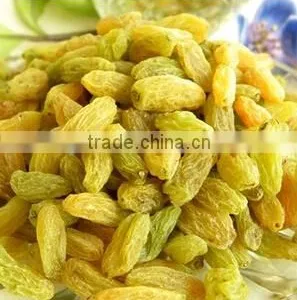 AD Dried Green Raisins With Good Quality for Sale thumbnail-5