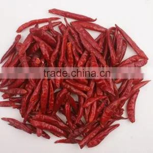 Dried Chilies thumbnail-1