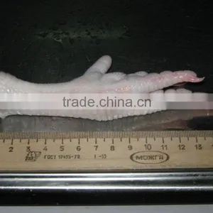 CHICKEN FEET thumbnail-1