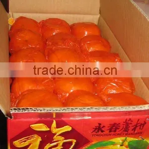 Sweet Lugan (mandarin Orange) thumbnail-1
