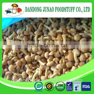 Grade A Chinese Nameko Mushroom Spawn for Sale thumbnail-1