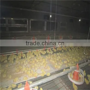Chicken Automatic Drinker thumbnail-3