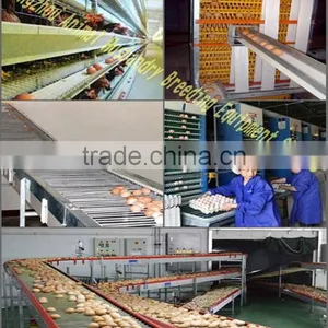 Poultry Farm Structures Chicken Cage thumbnail-1