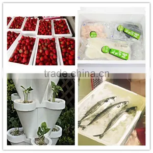 EPS Foam Box Making Machine thumbnail-6