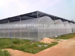 Cheap Flat Roof Greenhouse thumbnail-2