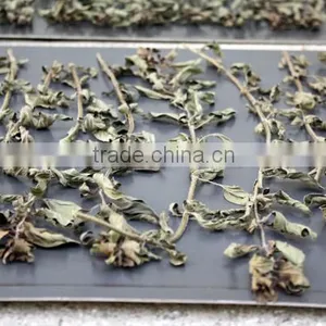 Dried Oregano Leaf thumbnail-2