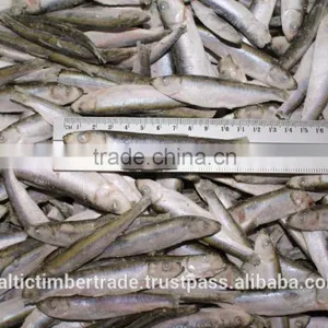 IQF Frozen Sprats, Frozen Anchovy Fish thumbnail-1
