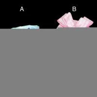 Sell Ribbon for Gift Package thumbnail-1