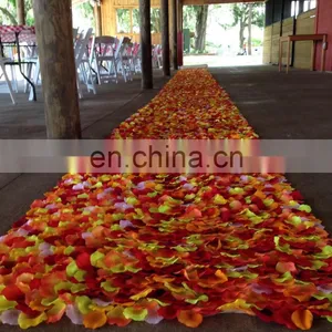 Rustic Wedding Petal Aisle Runner thumbnail-1