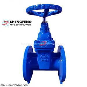 BS5163 Cast Iron Gate Valve thumbnail-1
