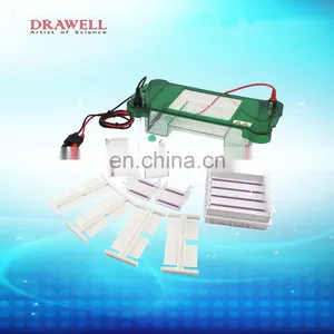 SPCT Universal Lab And Medical Horizontal Electrophoresis Machine thumbnail-4