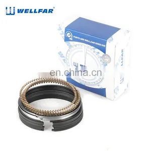 Wellfar Auto Parts Steel Ring Piston 96mm for Chevrolet Trail Blazer Yukon Silverado 2500,3500 Escalade Car thumbnail-5