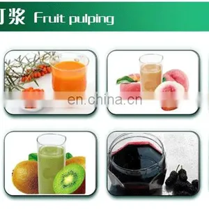 Stainless Steel Coconut Milk Screw Industrial Fruit Apple Watermelon Mango Pineapple Juice Crusher Juicer Extractor Machine thumbnail-5