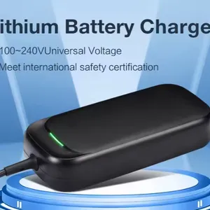 Intelligent Li-ion LiFePO4 Battery Charger With LED Indicator and Wide Compatibility thumbnail-2