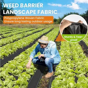 Heavy Duty Weed Control Fabric Ground Cover for Agriculture & Landscaping thumbnail-4