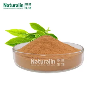 Green Tea Extract thumbnail-1