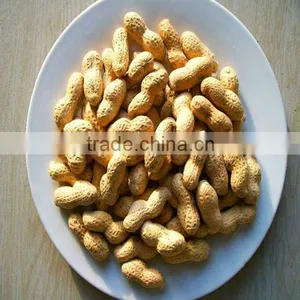 Chinese New Crop Roasted Peanut in Shell thumbnail-1