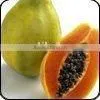 Fresh Papaya thumbnail-1