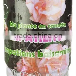 Tin Flower,Can Flower,Flower Seeds in a Tin thumbnail-1