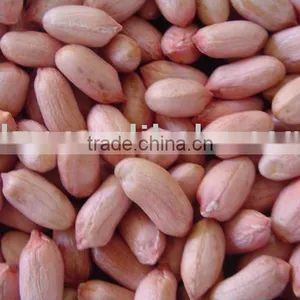 Dried Peanut thumbnail-1