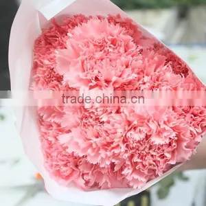 Exquisite Factory Direct Flower Head Carnation thumbnail-1
