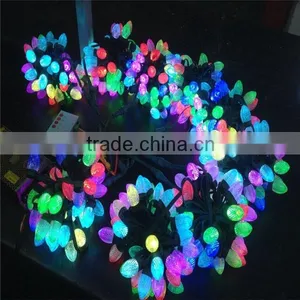Top Quality Multiple Color LED Christmas Light thumbnail-1