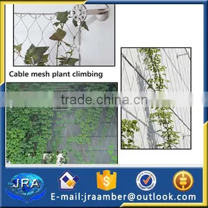Rope Mesh for Decoration Protection /garden Decoration Rope Mesh thumbnail-4