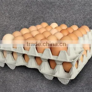 Disposable Paper Pulp Egg Tray Carton thumbnail-1