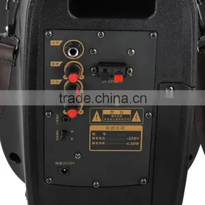 2016 New Fashion Active Mini Professional Speaker With FM thumbnail-5