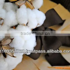 Supply Raw Cotton thumbnail-1