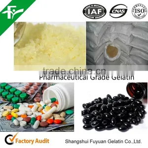Medical Gelatin 150-250bloom for Making Capsule or Tablet thumbnail-2