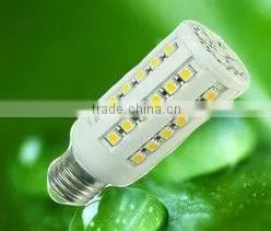 12V/24V DC Light thumbnail-1