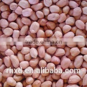 Bulk Peanut Kernel thumbnail-2