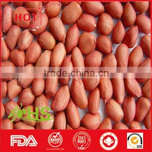 Round/long Size Red Skin Peanut Kernel thumbnail-1