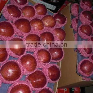 2012 Fresh Huaniu Apple thumbnail-1