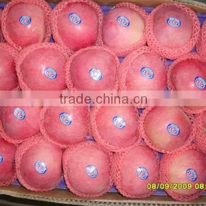Chinese Top Quality Fresh Red Fuji Apple thumbnail-1