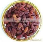Dried Fruit-sutlana Raisin thumbnail-1