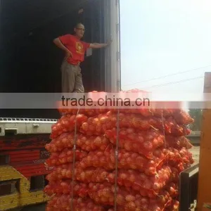 Fresh Red Yellow Onion for Export thumbnail-6