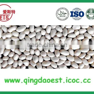 Blanched Peanut Kernel 25/29 Cheap Factory Price With Good Quality for Sale thumbnail-5