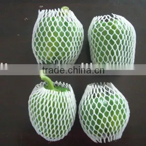 COLOR FRESH PEPPER(2011) thumbnail-1