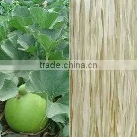 Natural Artificial Dried Gourds thumbnail-2