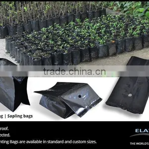 Seedling Bag thumbnail-2