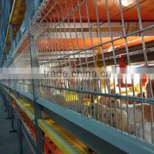 Poultry Equipment Broiler Cage thumbnail-3